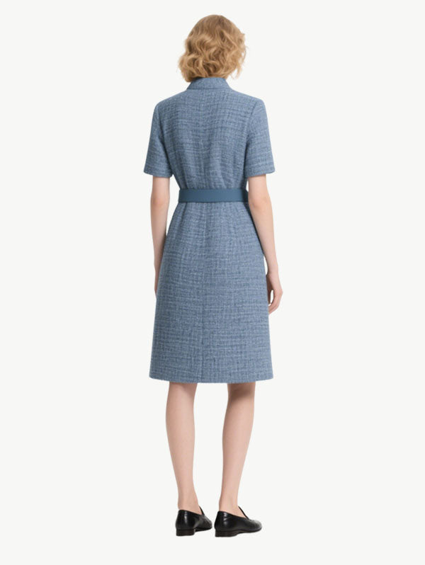 Formal Elegant Women's Short Sleeve Dress
