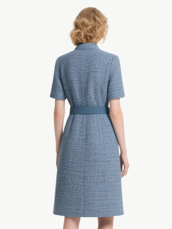 Formal Elegant Women's Short Sleeve Dress