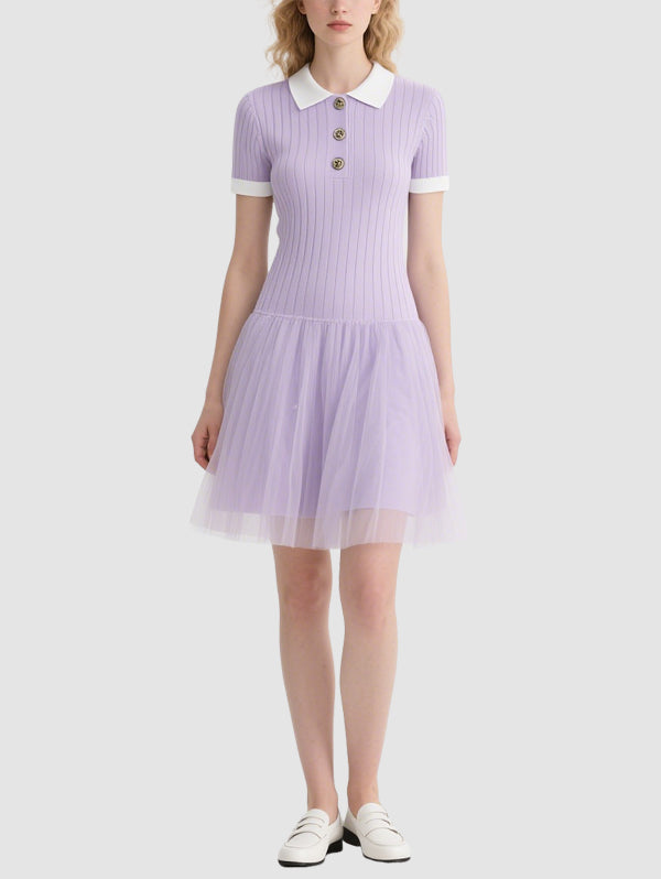 Cute Mesh Women's Mini Dress
