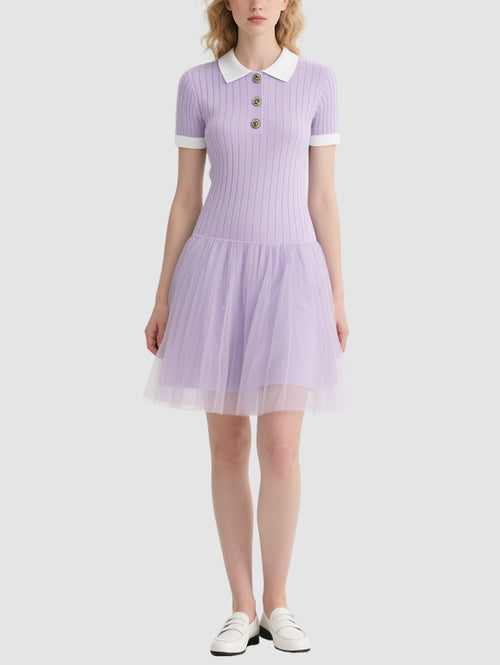 Cute Mesh Women's Mini Dress