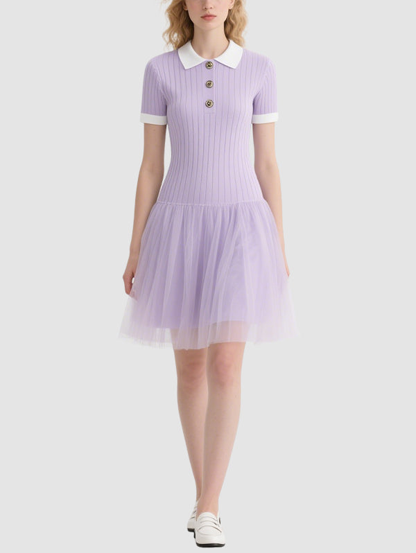 Cute Mesh Women's Mini Dress