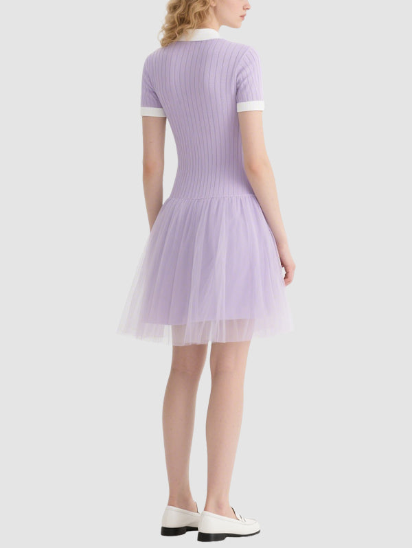 Cute Mesh Women's Mini Dress