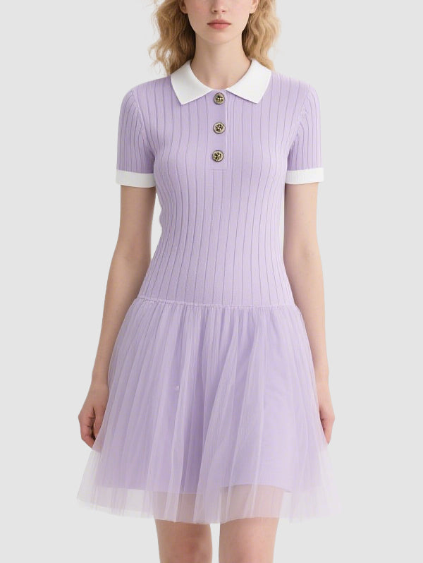 Cute Mesh Women's Mini Dress
