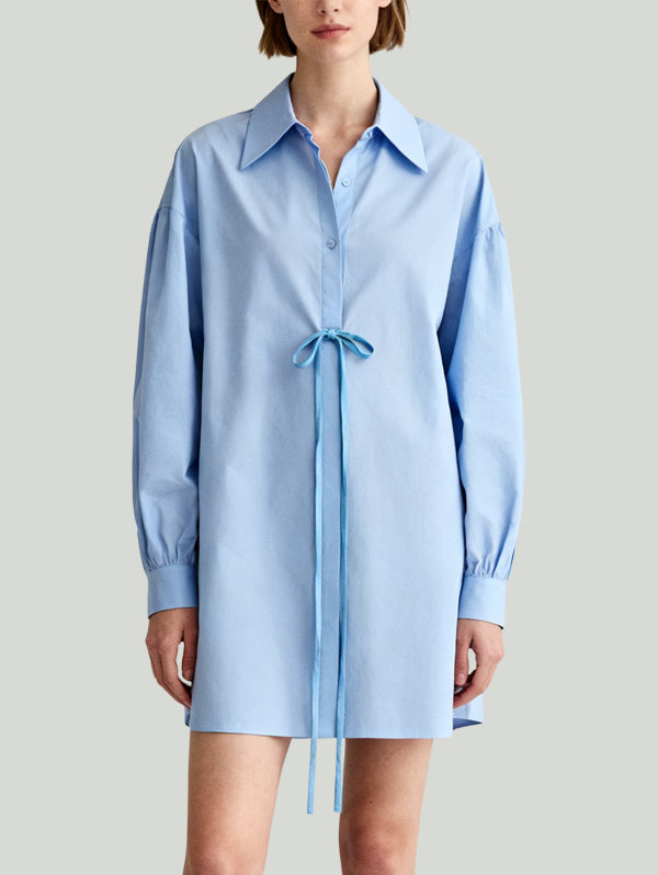Shirt-Style Tie Design Casual Uninhibited Women's Long-Sleeve Dress
