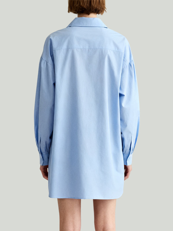 Shirt-Style Tie Design Casual Uninhibited Women's Long-Sleeve Dress