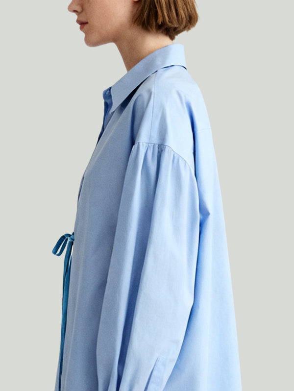 Shirt-Style Tie Design Casual Uninhibited Women's Long-Sleeve Dress