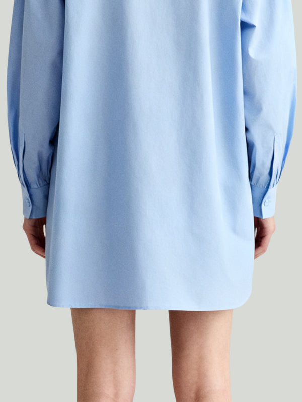 Shirt-Style Tie Design Casual Uninhibited Women's Long-Sleeve Dress
